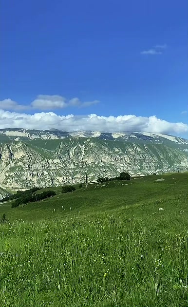 @Аварец 🥷🏼