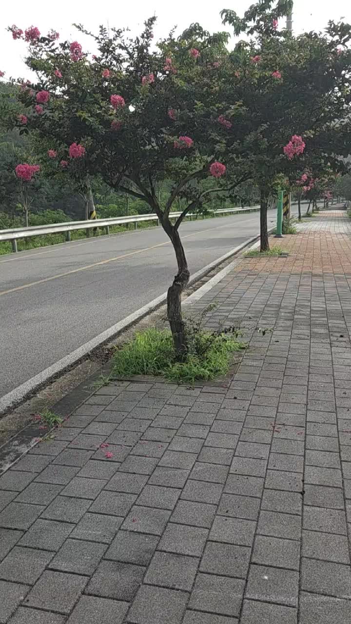 @법무사