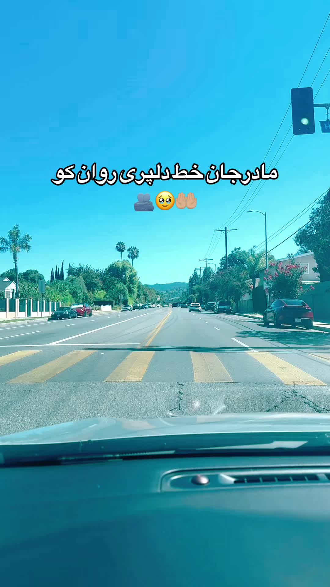 @asaljan0012