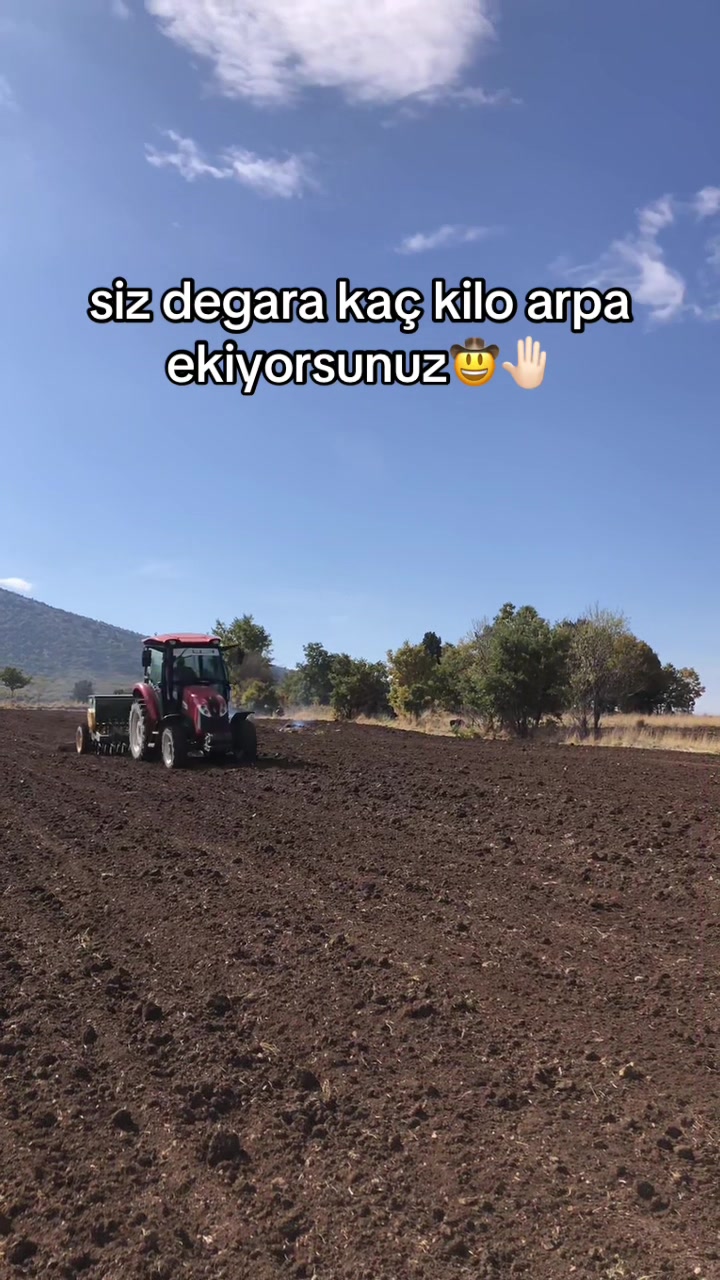 @ÅABAN KOLTKAšļø