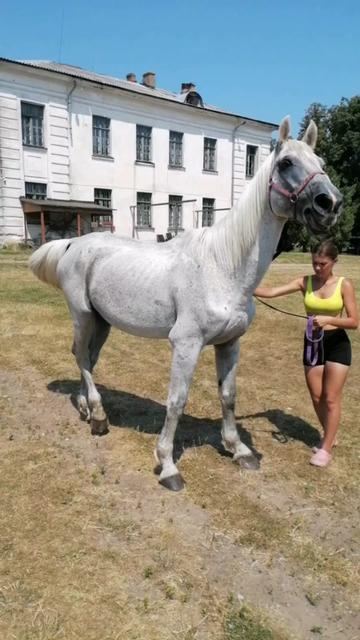 @КК "Фриз"🏇