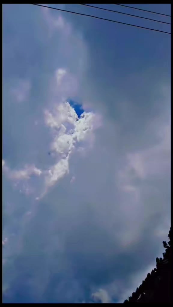 @𝘽𝙧𝙤𝙠𝙚𝙣.𝙙𝙧𝙚𝙖𝙢𝙯