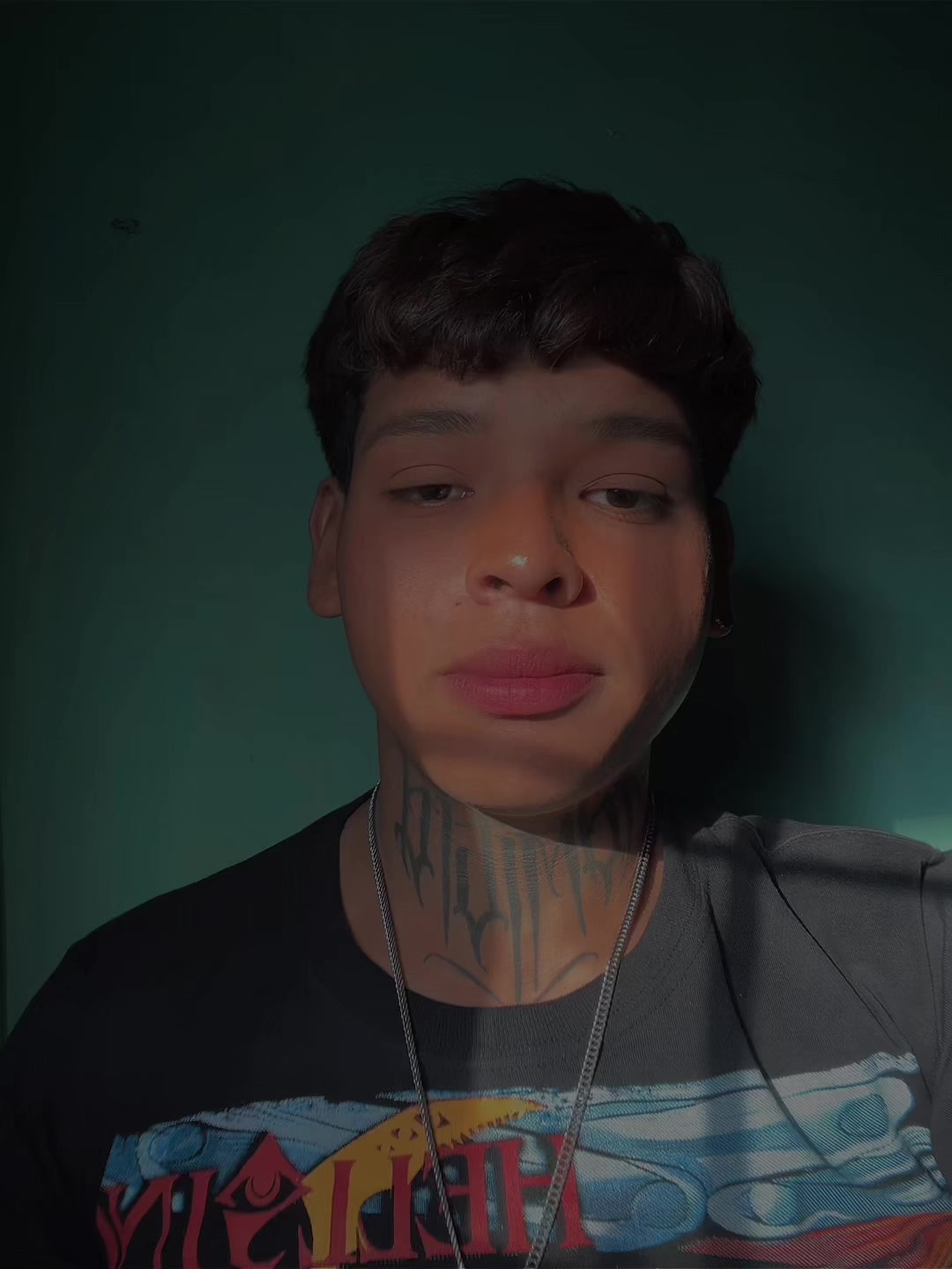 @cesarvdh