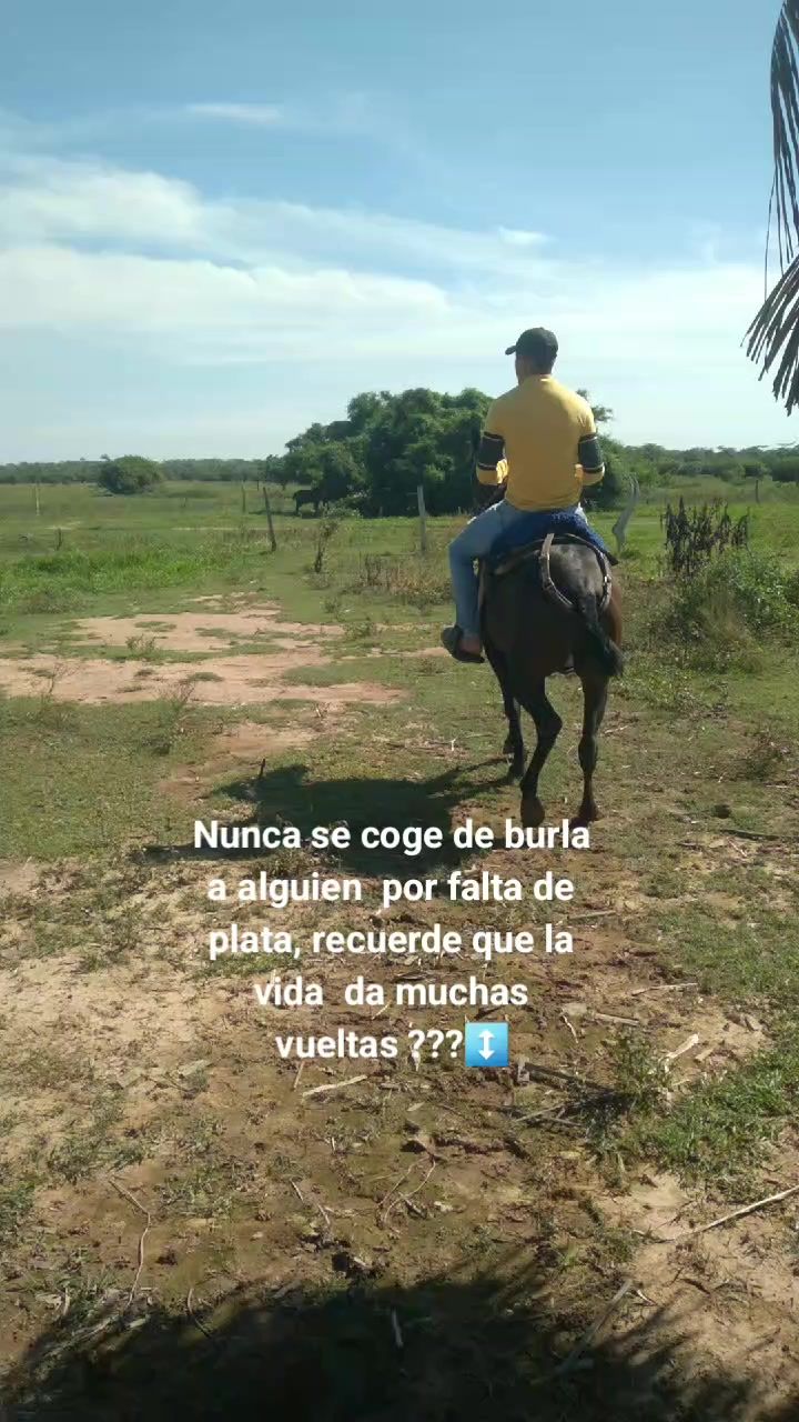 @ever tovar