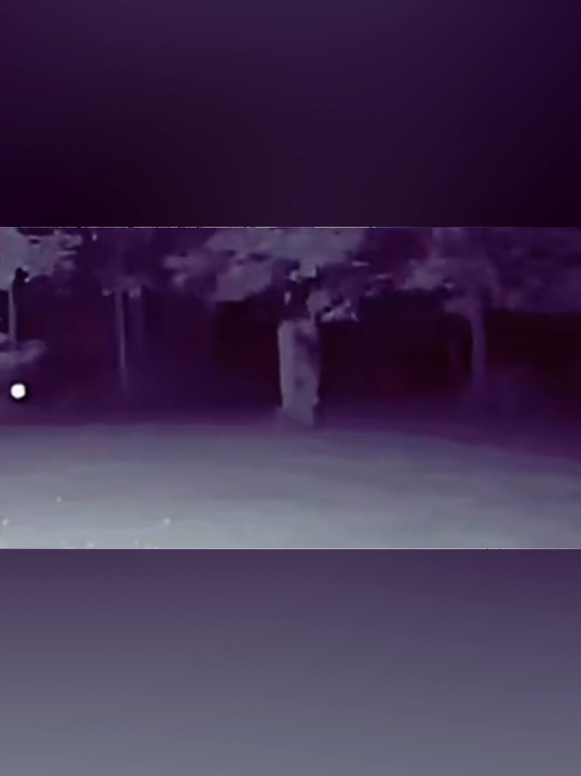 @DarkMoose