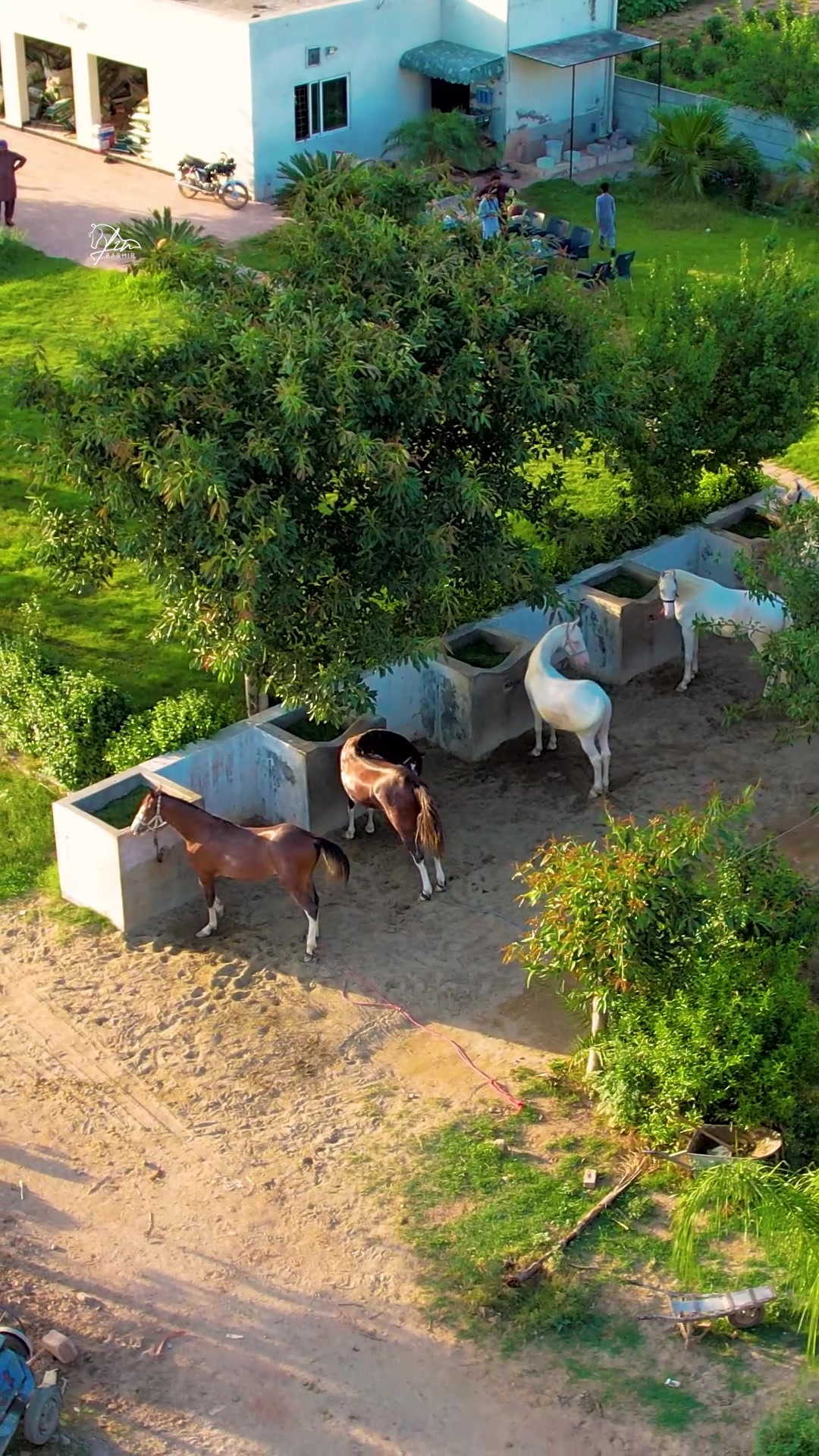 @SUNRISE STUD FARMS RAWALPINDI