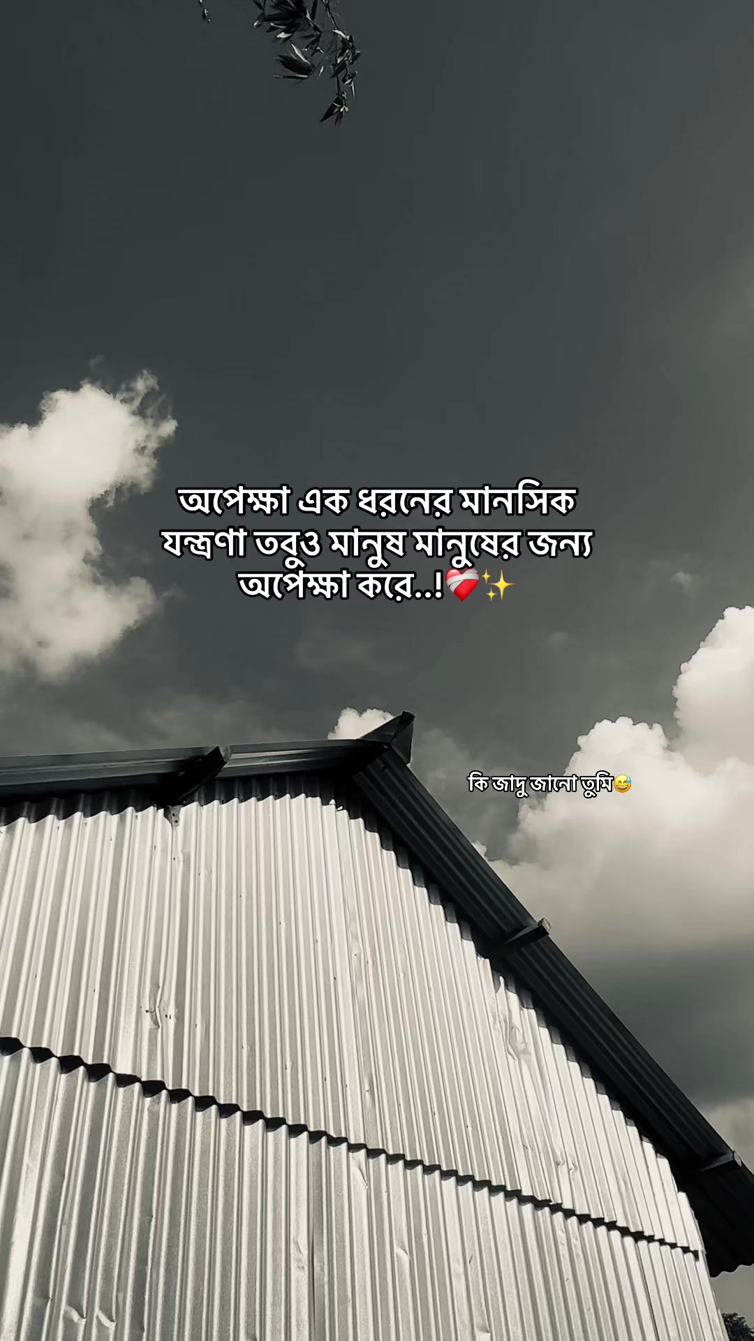 @đ
—Sad Caption—đ