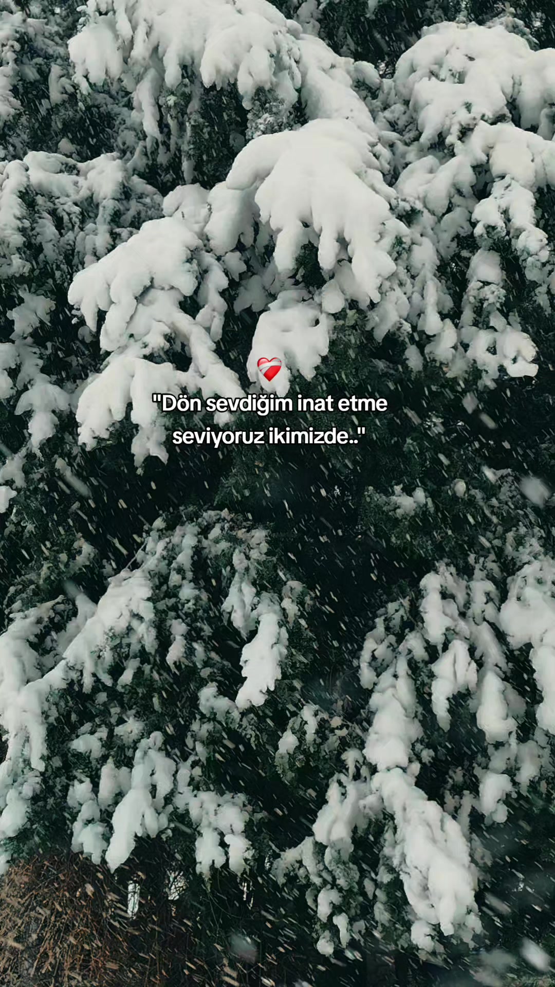 @Abdülaziz bakaç47⚡