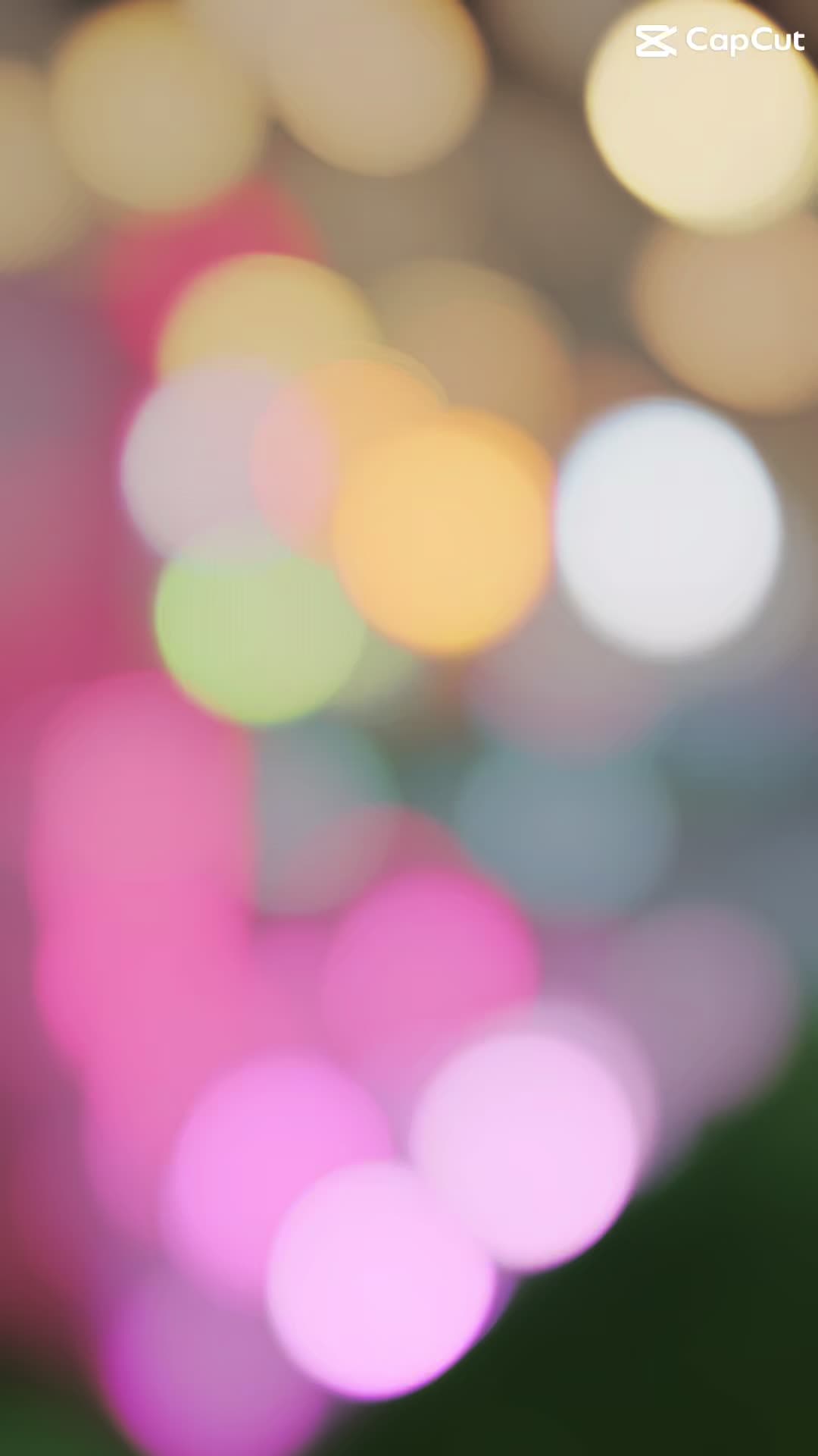 @yarieliz.1