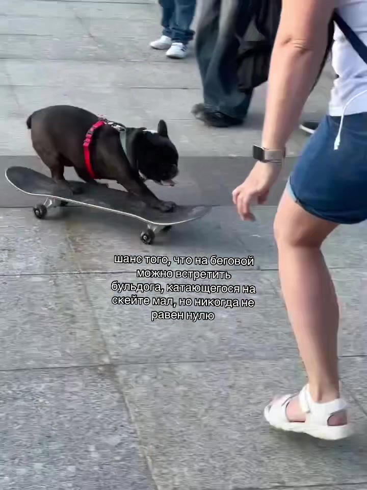 @кнопа соло