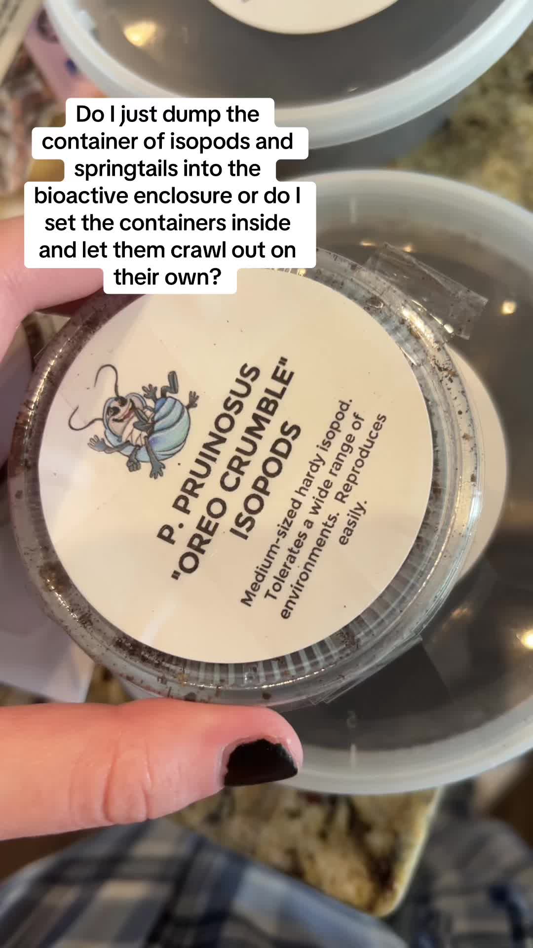 @snake._.tales