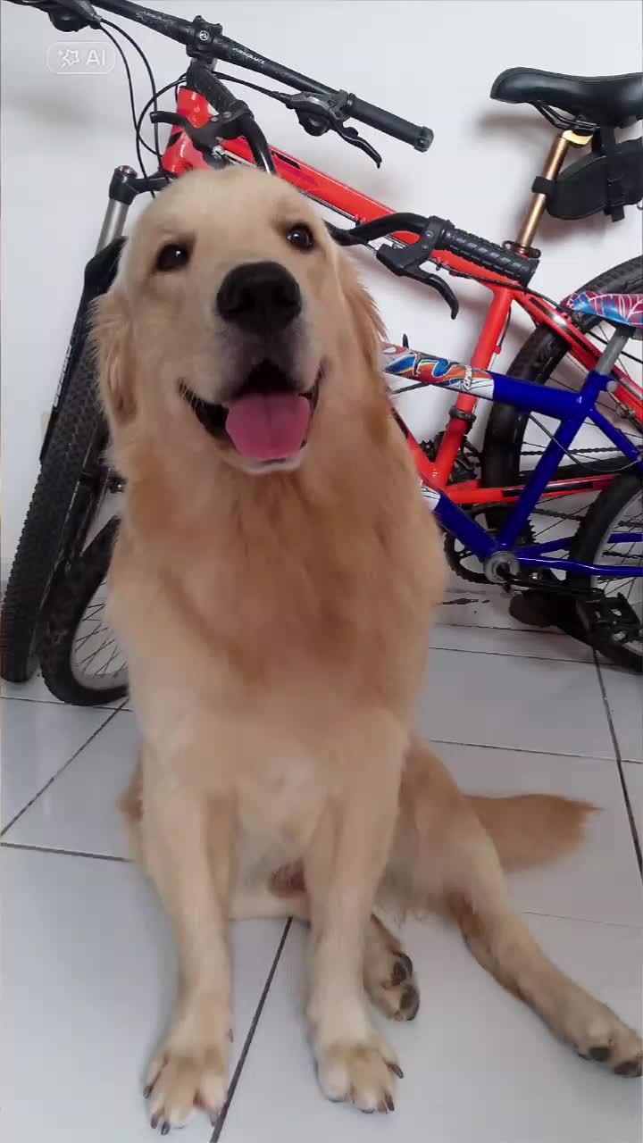 @kallen_villar e max o golden