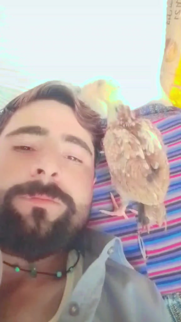 @Arman Gul -711-☠️🇵🇰⚔️