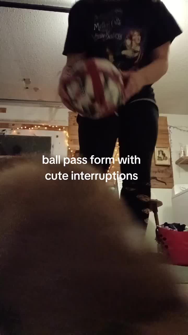 @sUsHibuBbLegUm 🤹