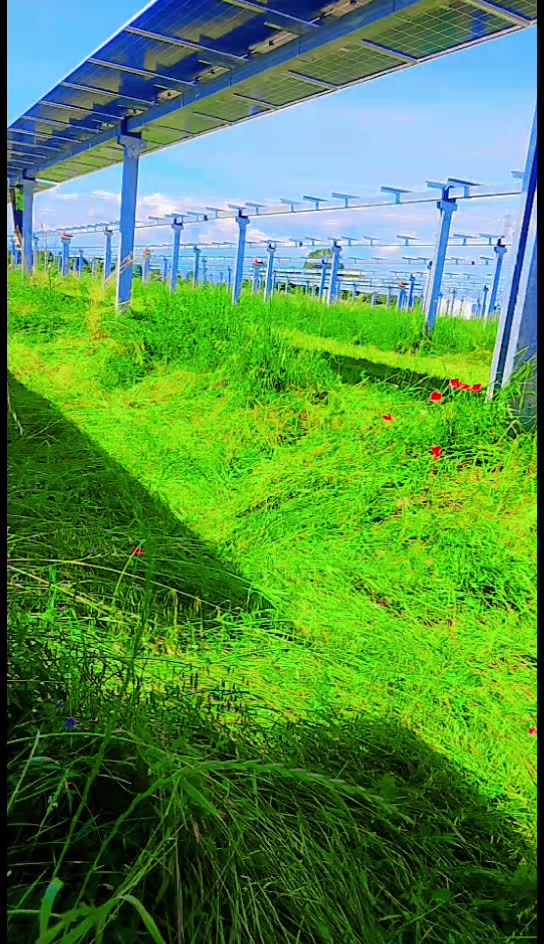 @🇮🇹🌟گجر.. بادشاہ🇵🇰