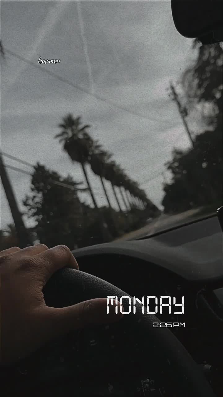 @¹³SINN乇尺 Yt