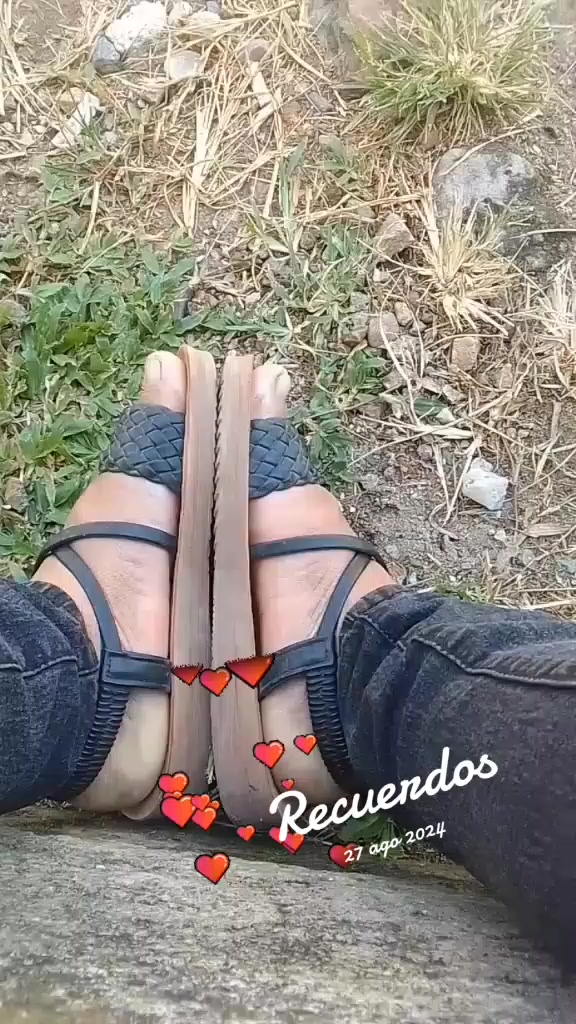 @maribel