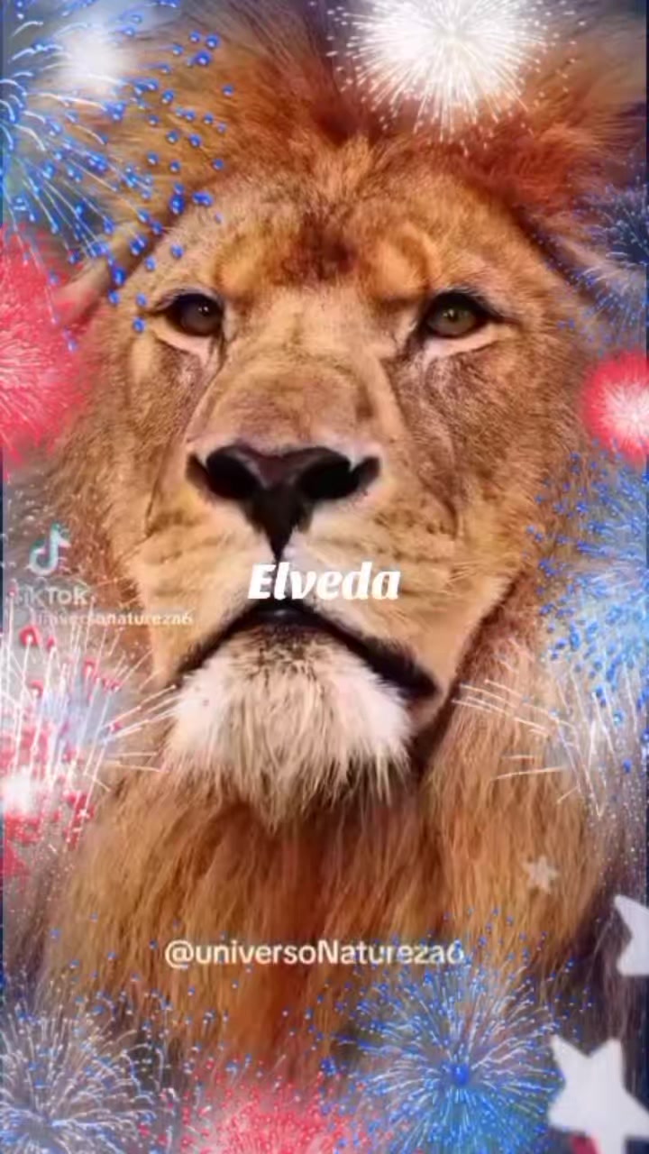 @fırtına