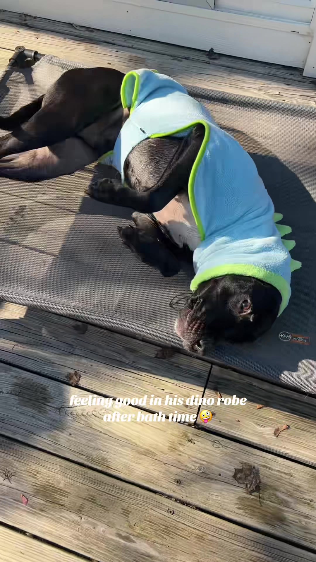 @Halle 💋 🪩 🍒