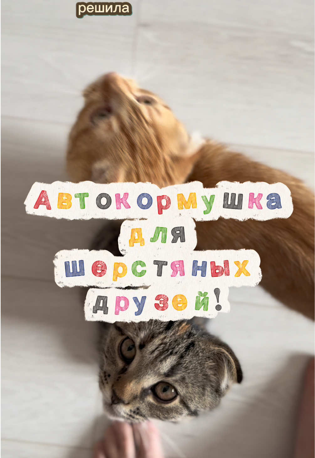 @KAKZHEHOROSHA