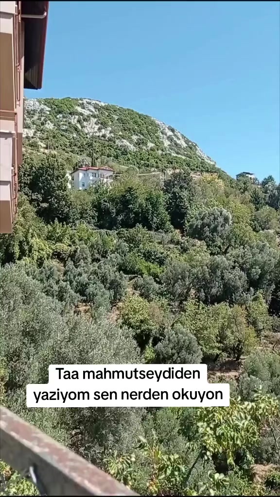 @0003