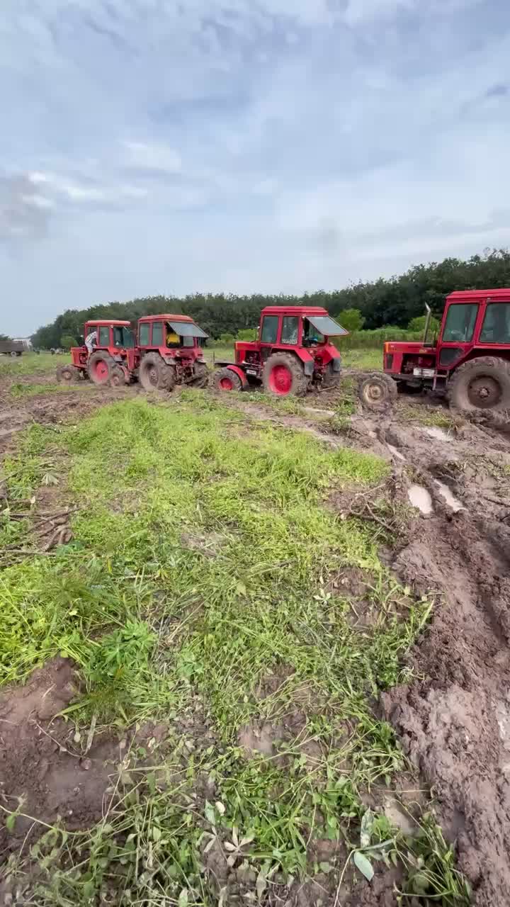 @chauvi.1383