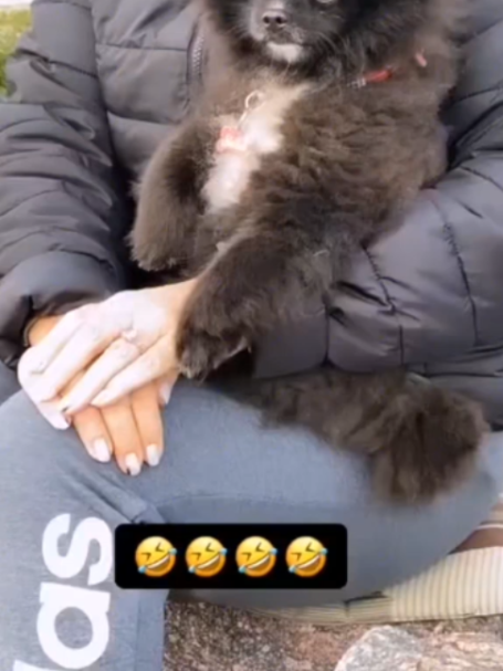 @БУЧ211