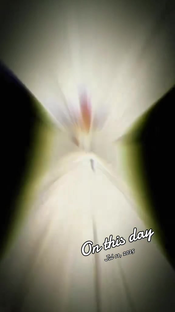 @🌱꧁༺joy༻꧂ 🌱