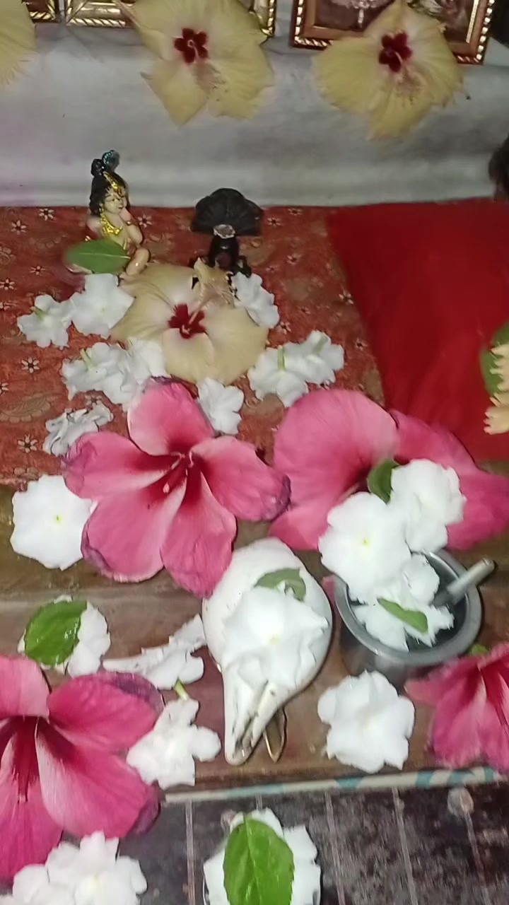 @Tapas Sutradhar