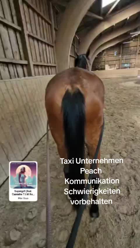 @Katinka, Peach 🐴 und Toffee🐶