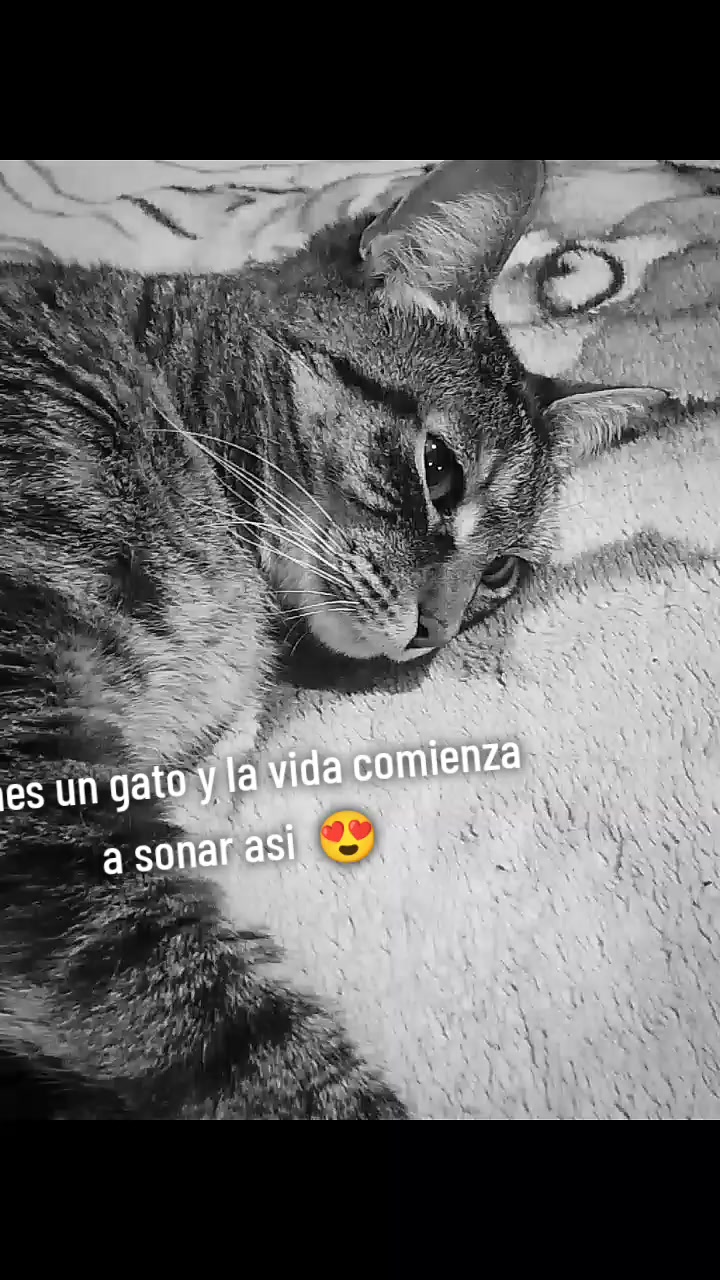 @STUNERO
