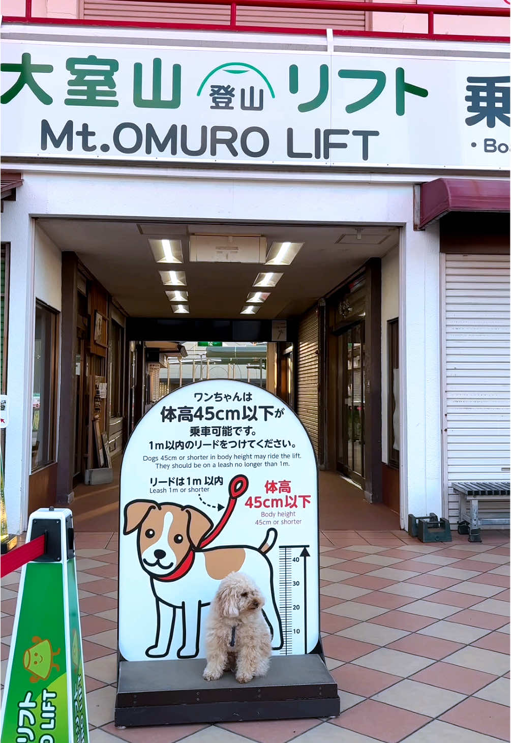 @ブチムギ🐶チャンネル