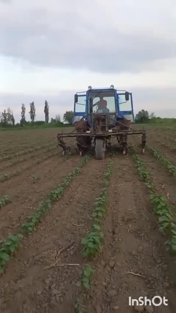 @Hilal Mehbalıyev