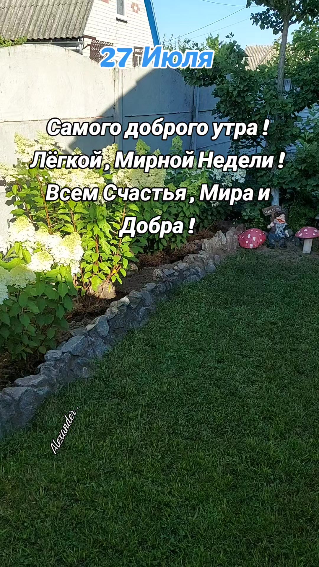 @Александр