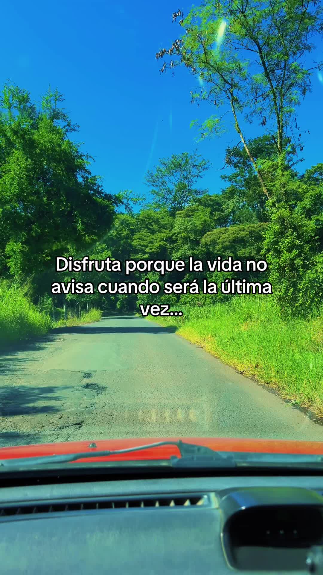 @José de Jesús Castañeda