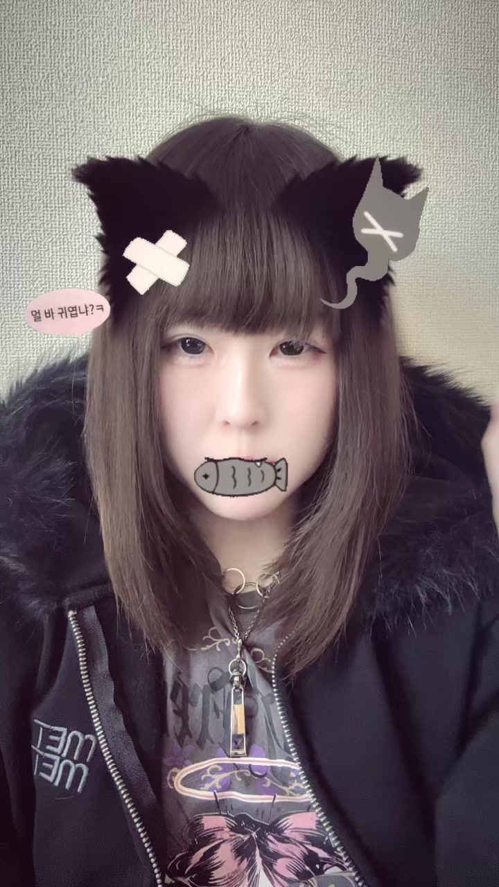 @菜乃🐟🐱