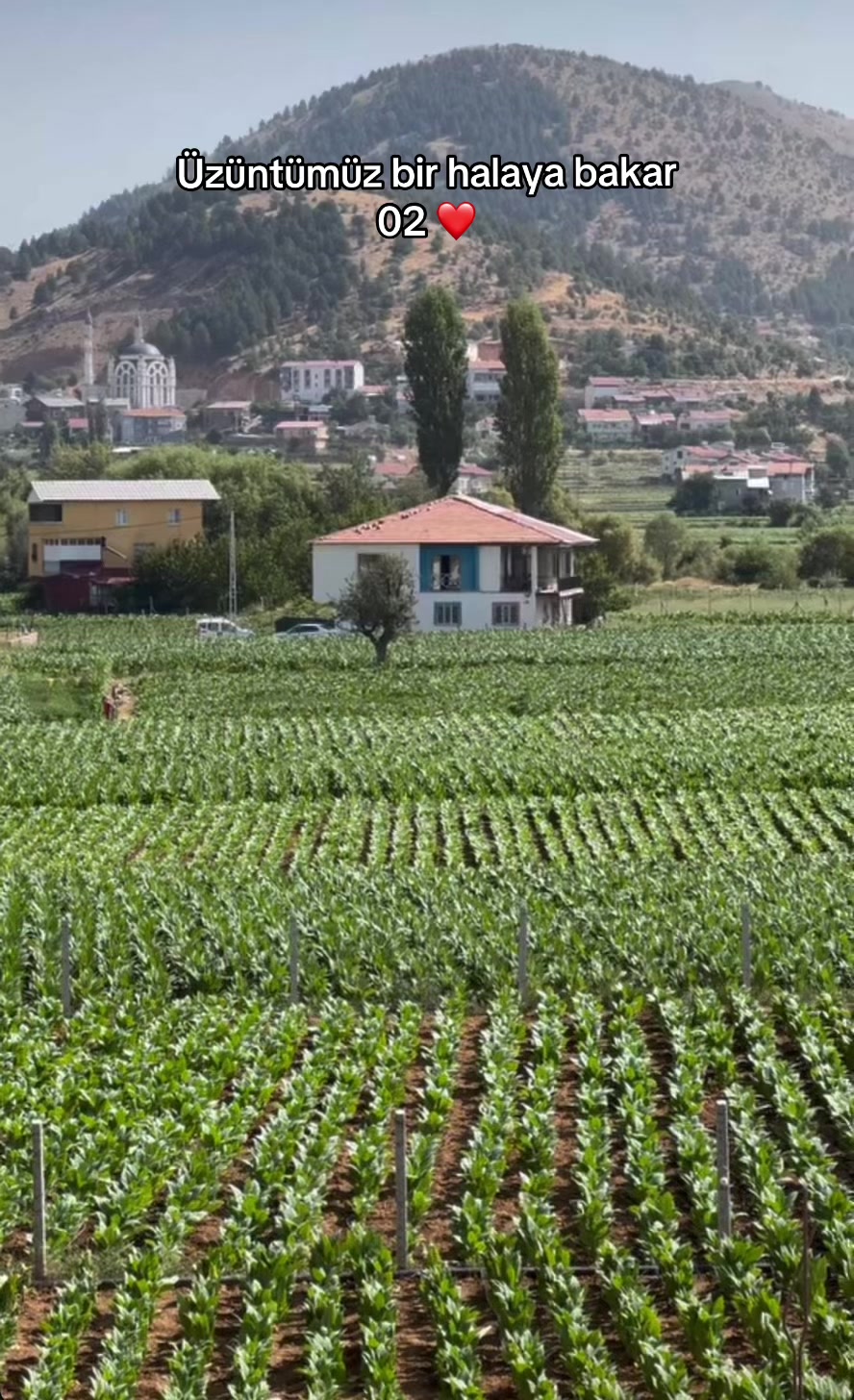 @Abdulkadir Altındağ