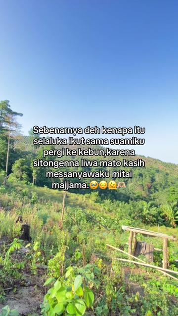 @chioon yun