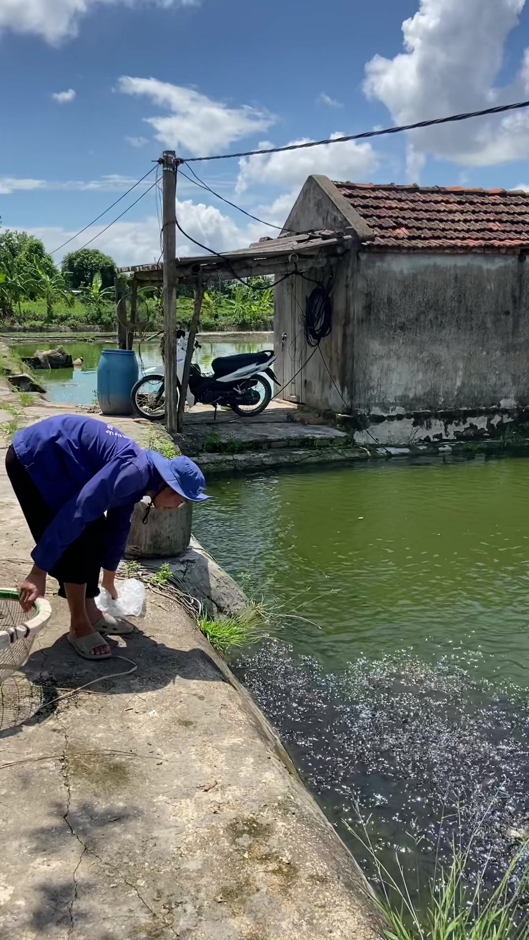 @Trại Cá Giống Quang Lâm