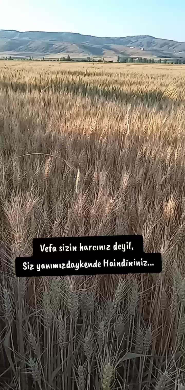 @hükümzüzz🕊