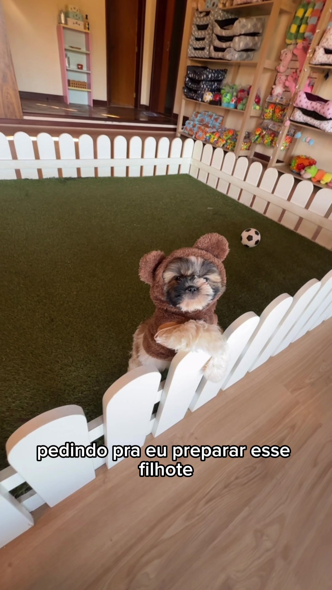 @Casa dos Ursinhos
