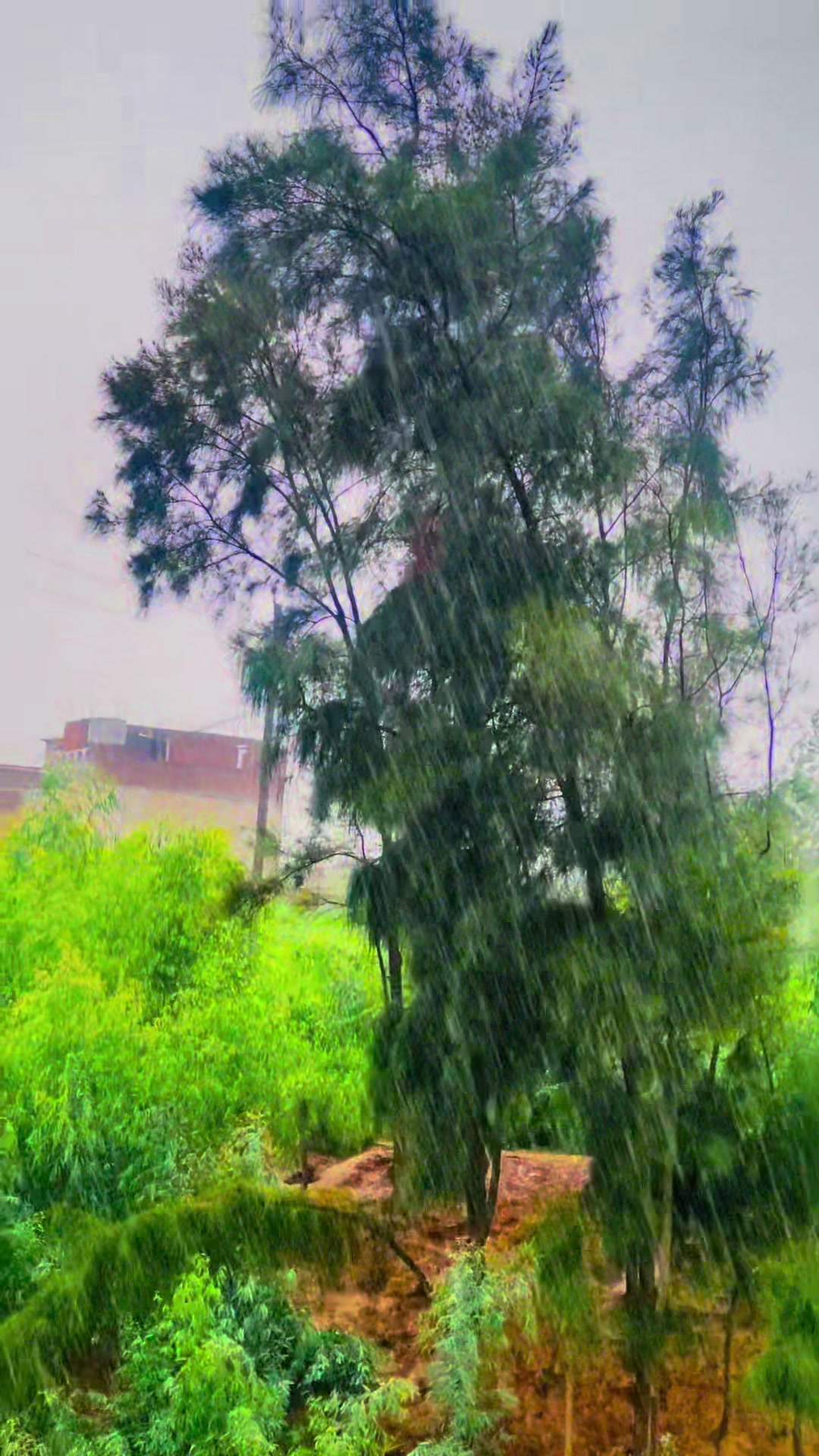 @H 💕💕💕💕
