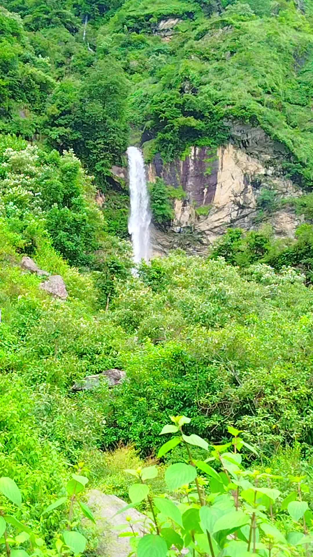 @melamchi-KO-fuche-driver