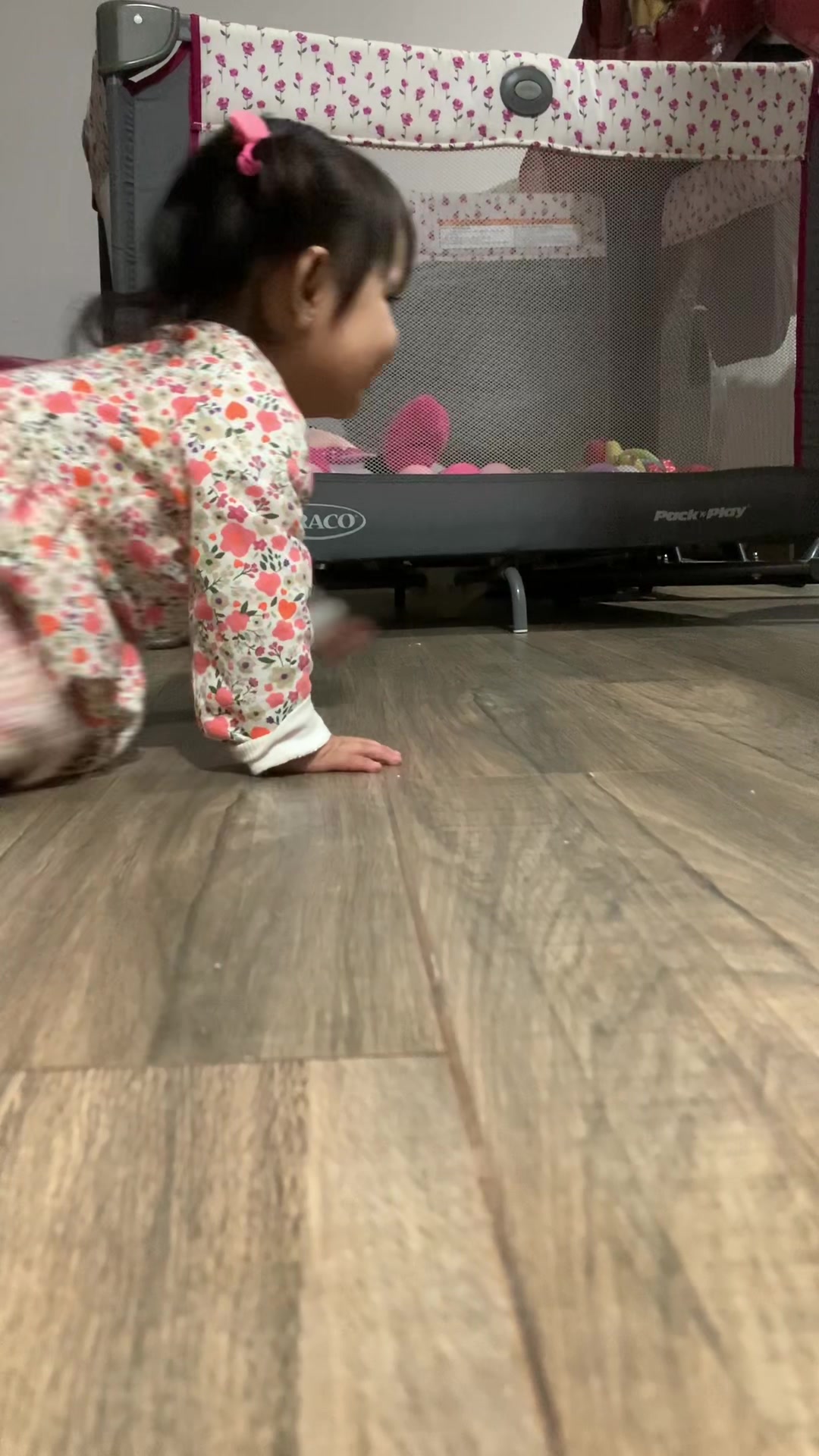 @Fernanda Lugo