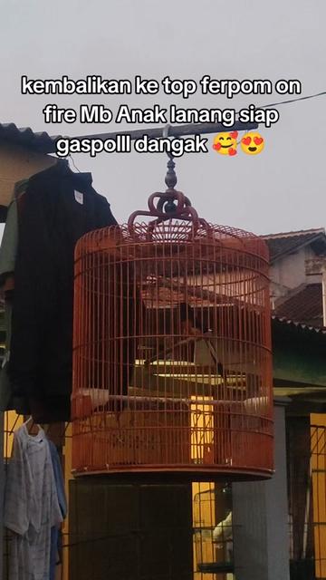 @maskembar12