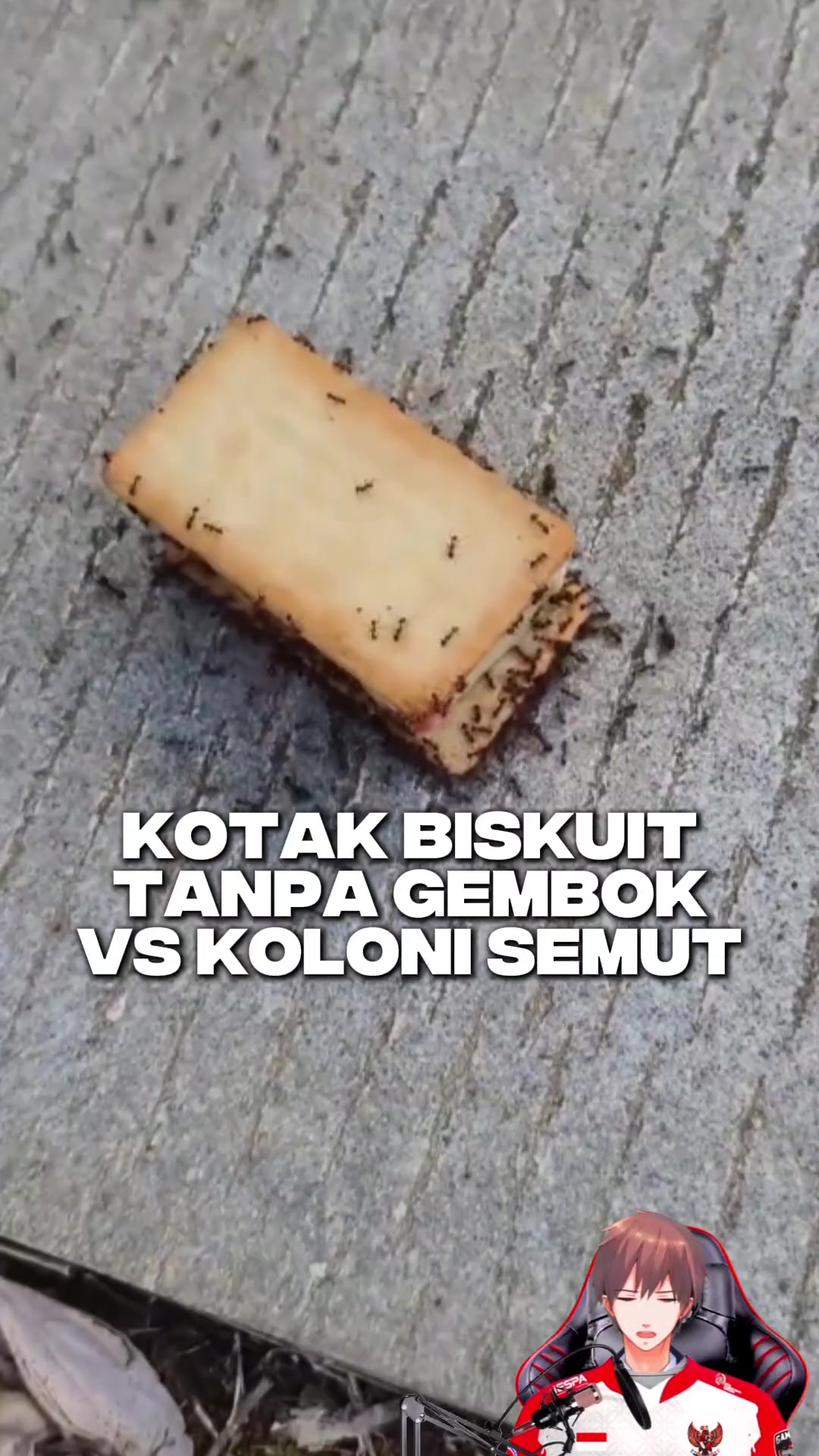 @Ardian Galih 🐜