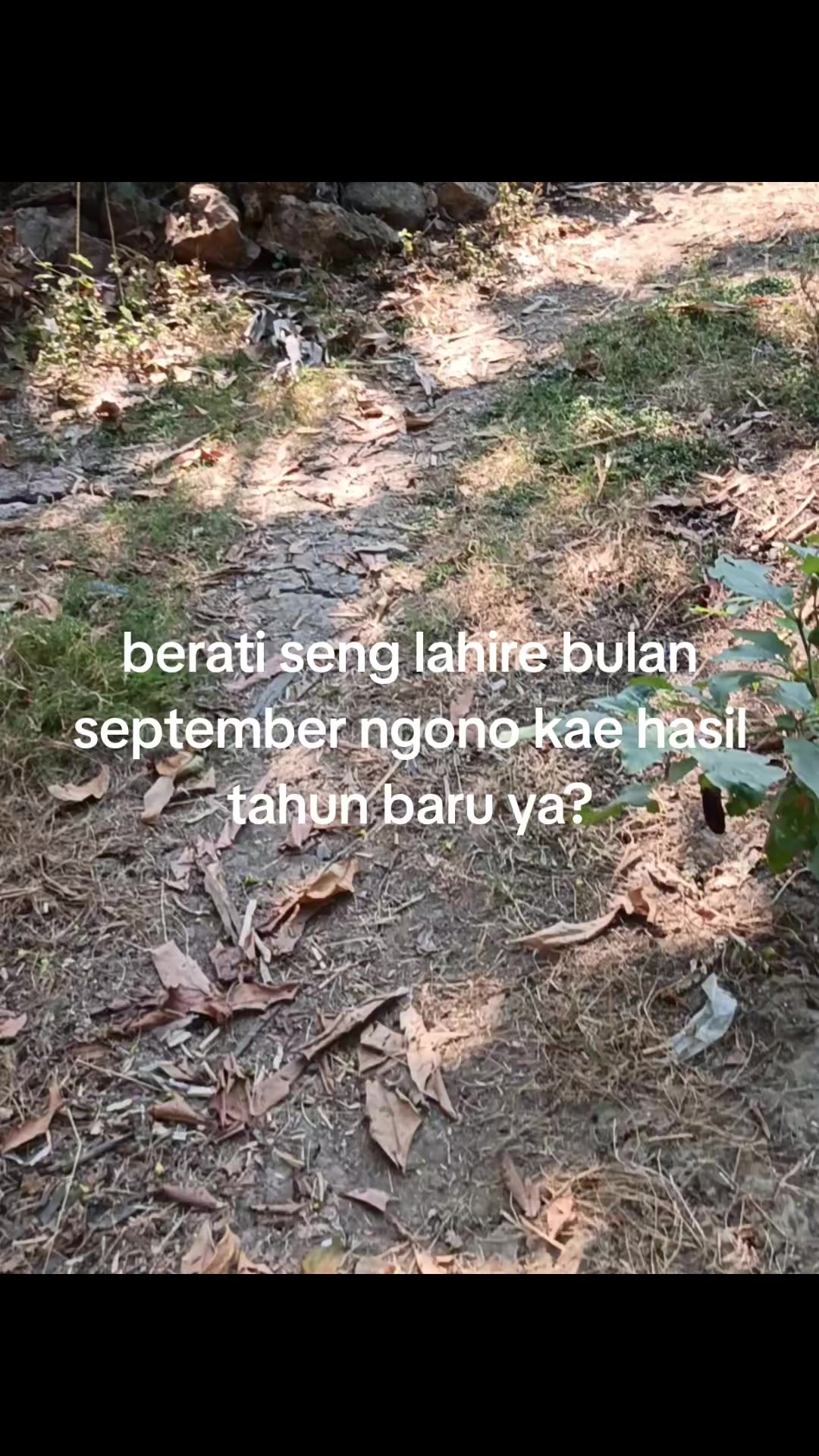 @ꪑꪖ᭙ꪖꪀ⚡