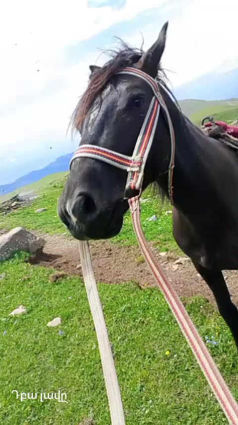 @Վաչե Գևորգյան