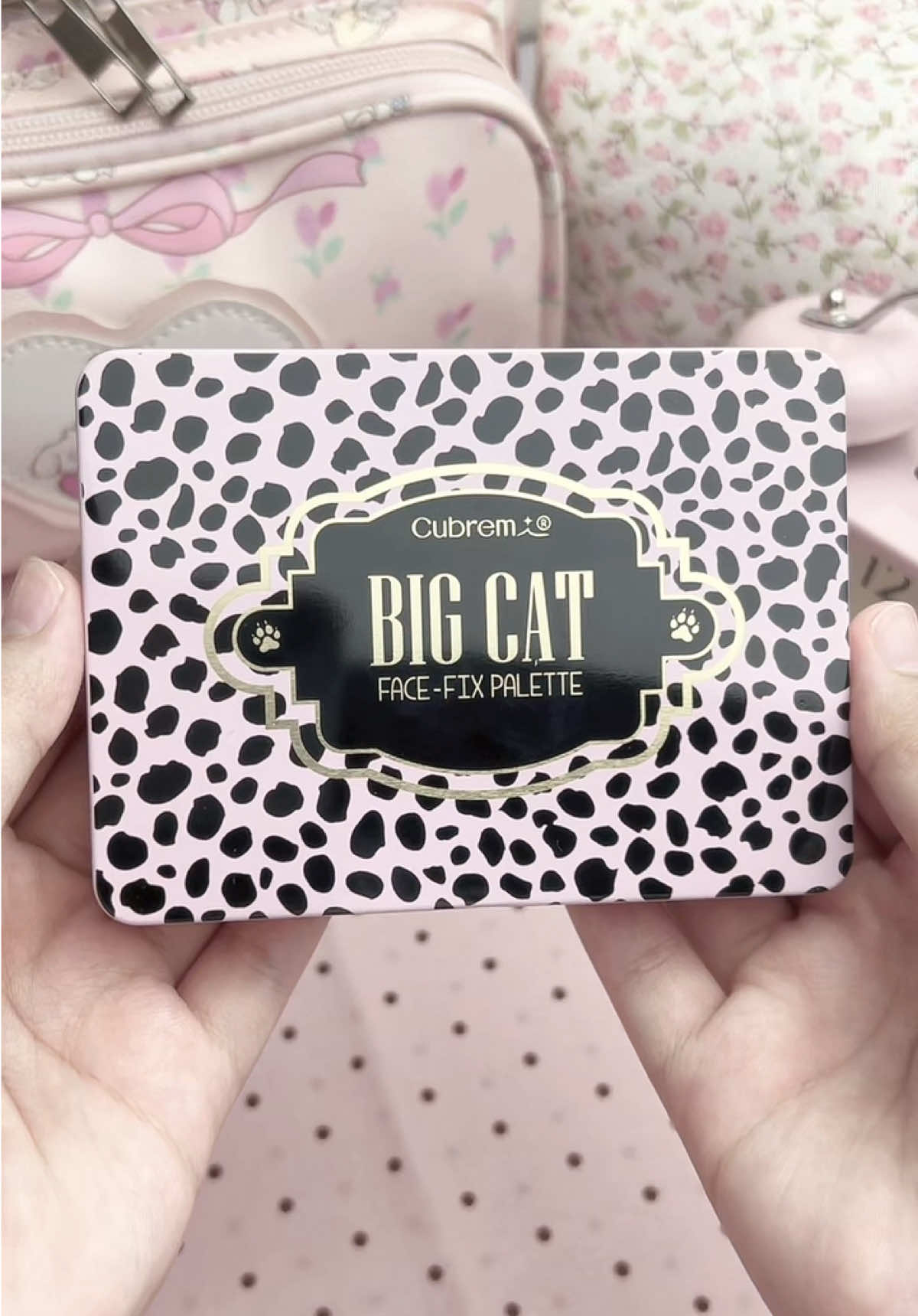 @˙ .꒷ 𝒻𝒶𝒶 🍰. 𖦹˙