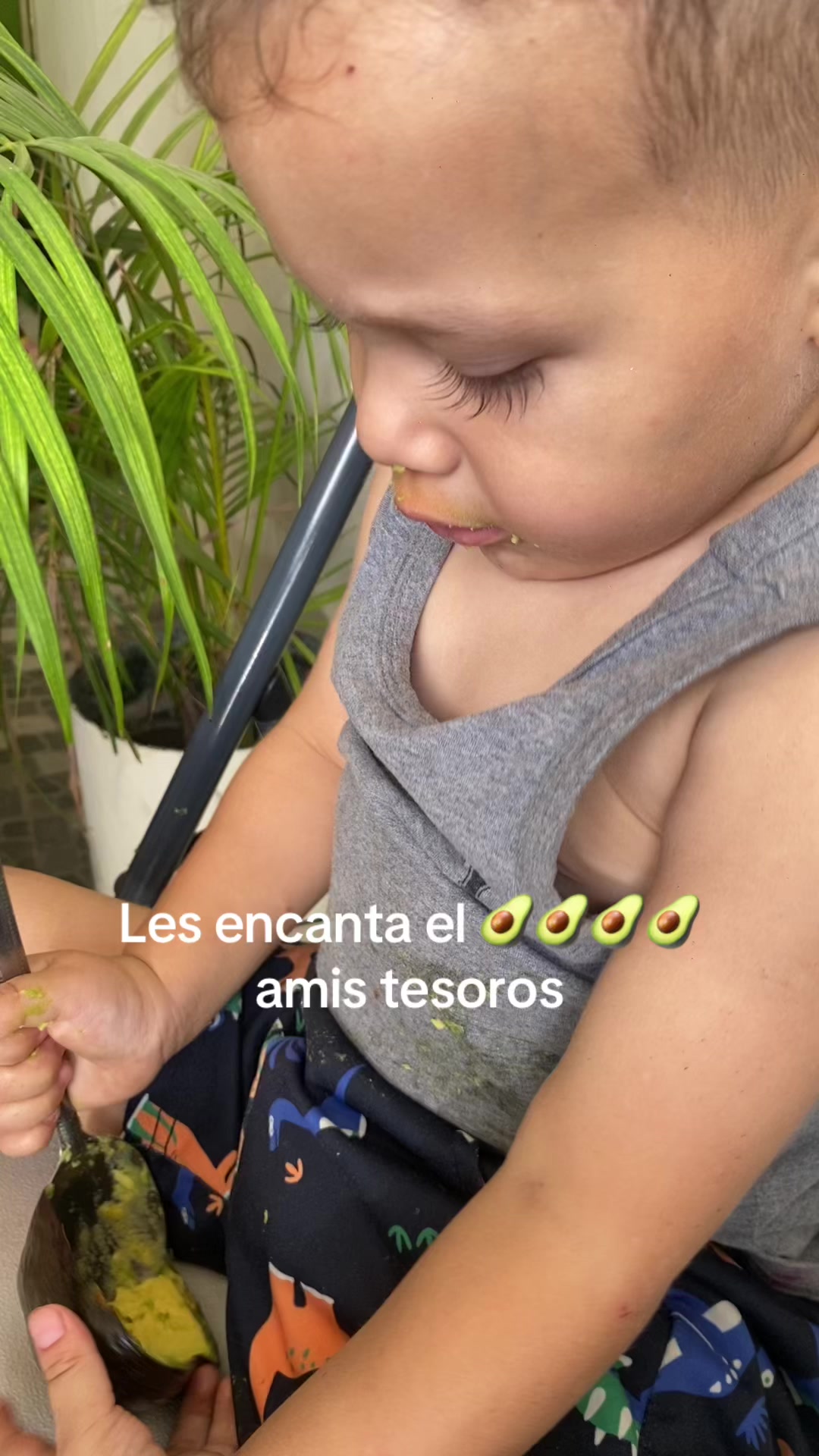 @Mateo y Tadeo